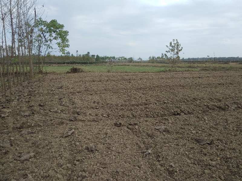 farm-land-for-sale-in-biharigarh-dehradun-rei1006890