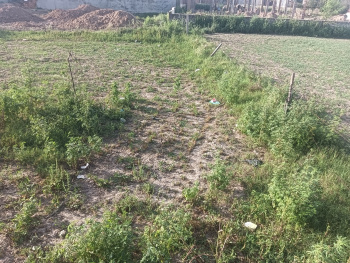  Agricultural Land for Sale in Landran Banur Road, Mohali