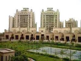 4 BHK Flat for Rent in Ats Paradiso, Greater Noida