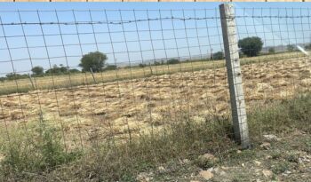  Commercial Land for Sale in Ranthambhore National Park, Sawai Madhopur