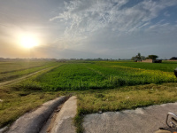  Residential Plot for Sale in Rajatalab, Varanasi