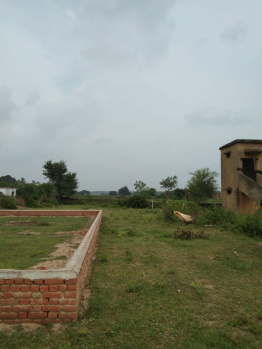  Agricultural Land for Sale in Dhanpuri, Shahdol