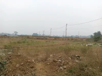  Industrial Land for Sale in Yamuna Expressway, Greater Noida