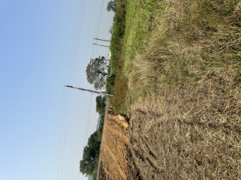  Agricultural Land for Sale in Madhapar Chokdi, Rajkot