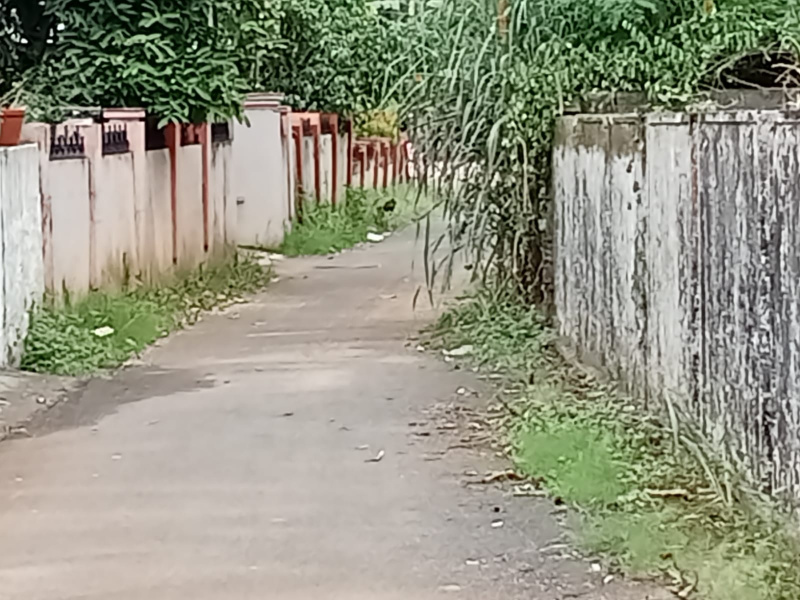  10 Cent Residential Plot for Sale in Ayanthole, Thrissur