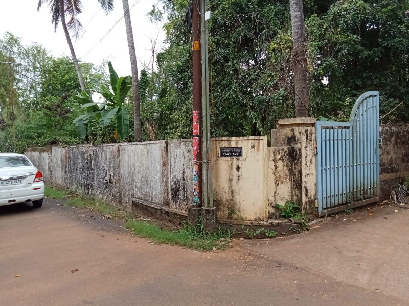  10 Cent Residential Plot for Sale in Ayanthole, Thrissur