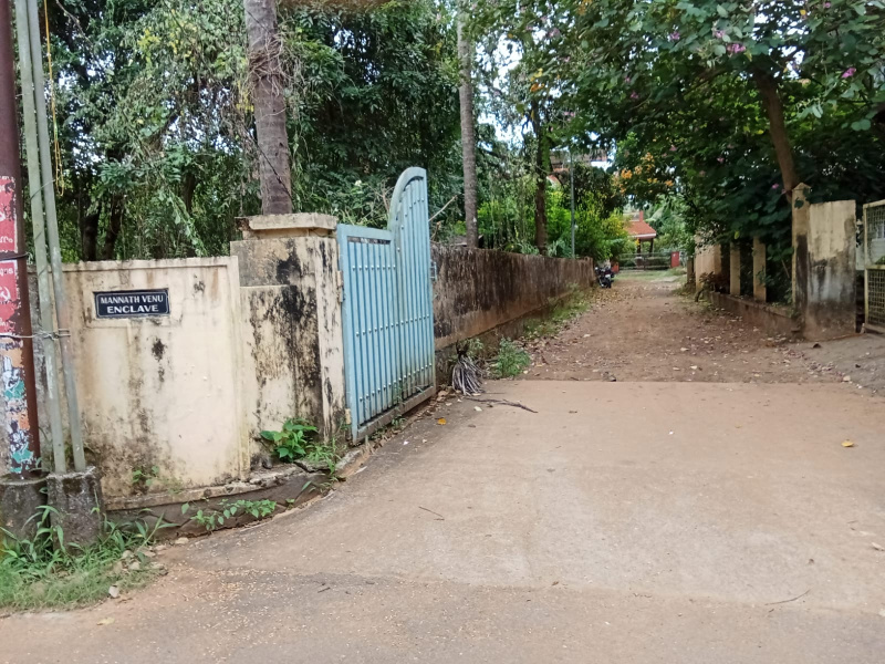  10 Cent Residential Plot for Sale in Ayanthole, Thrissur
