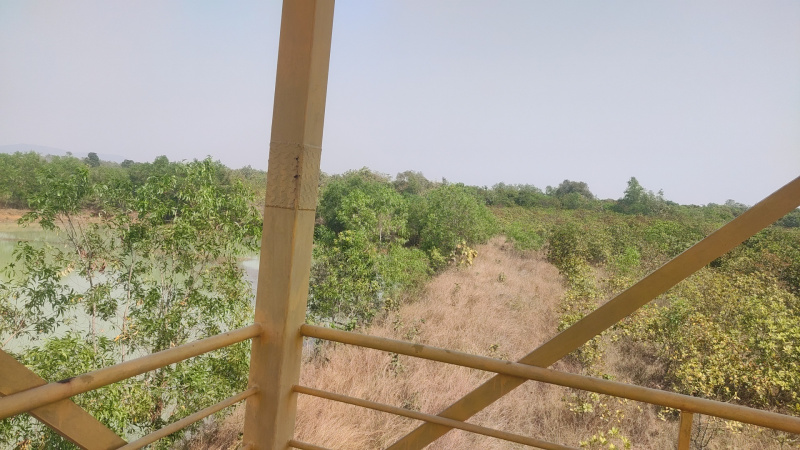  Agricultural Land 107 Acre for Sale in Similia, Dhenkanal