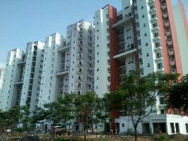 2 BHK Builder Floor for Sale in Noida Extension, Greater Noida