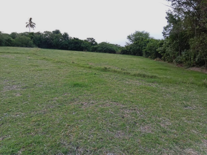  Agricultural Land 250 Cent for Sale in Maduranthakam, Chengalpattu