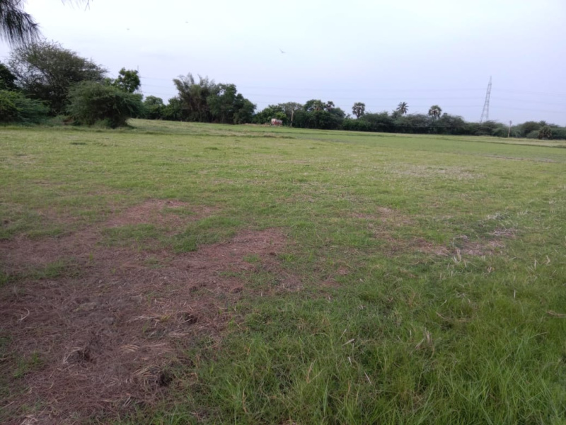  Agricultural Land 250 Cent for Sale in Maduranthakam, Chengalpattu