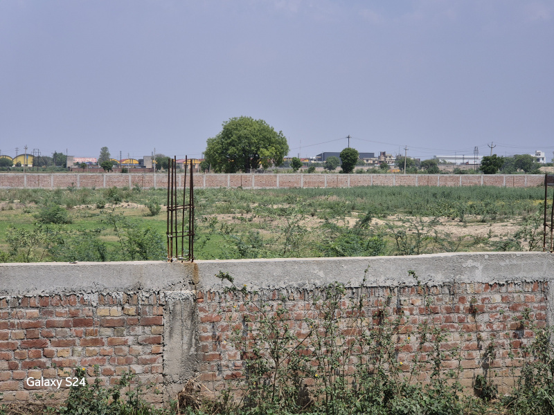  Residential Plot 50 Sq. Yards for Sale in NH 2, Palwal