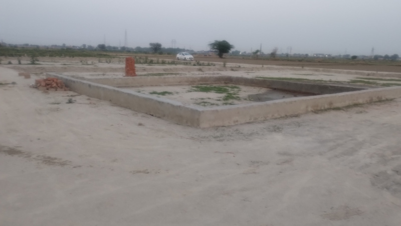  Residential Plot 200 Sq. Yards for Sale in Bamni Khera, Palwal