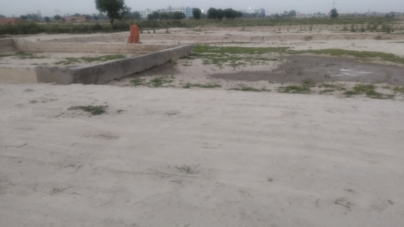  Residential Plot 200 Sq. Yards for Sale in Bamni Khera, Palwal