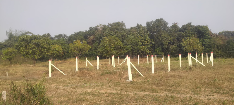  Residential Plot 1080 Sq.ft. for Sale in Udvada, Valsad