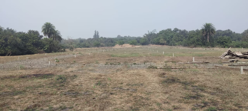  Residential Plot 1080 Sq.ft. for Sale in Udvada, Valsad