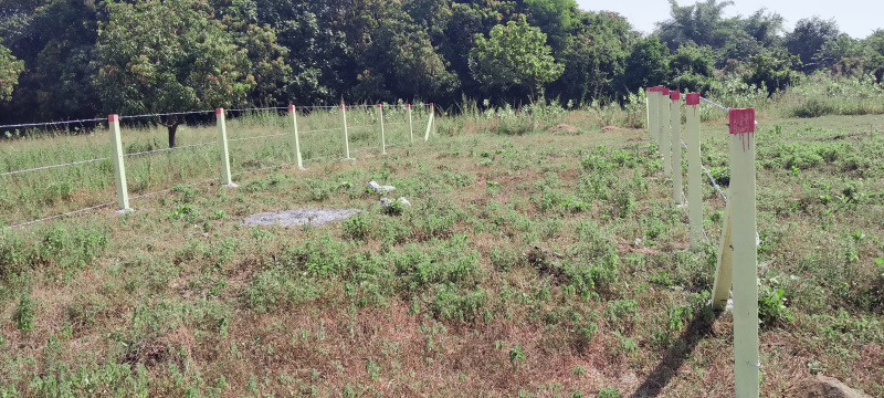  Agricultural Land 2000 Sq.ft. for Sale in Udvada, Valsad