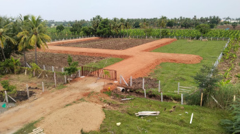  Agricultural Land for Sale in Woraiyur, Tiruchirappalli