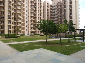 3.5 BHK Flat for Sale in Sector 84 Faridabad