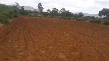  Agricultural Land for Sale in Thalavadi, Erode