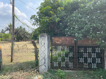  Agricultural Land for Sale in Vaitheeswarankoil, Nagapattinam