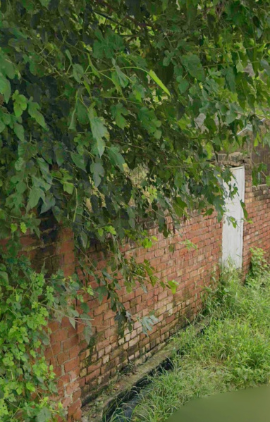  1596 Sq.ft. Residential Plot for Sale in Jandiala Guru, Amritsar