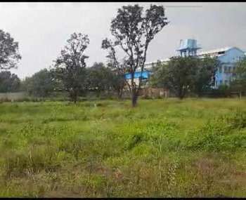  Agricultural Land for Sale in Nalagarh, Solan