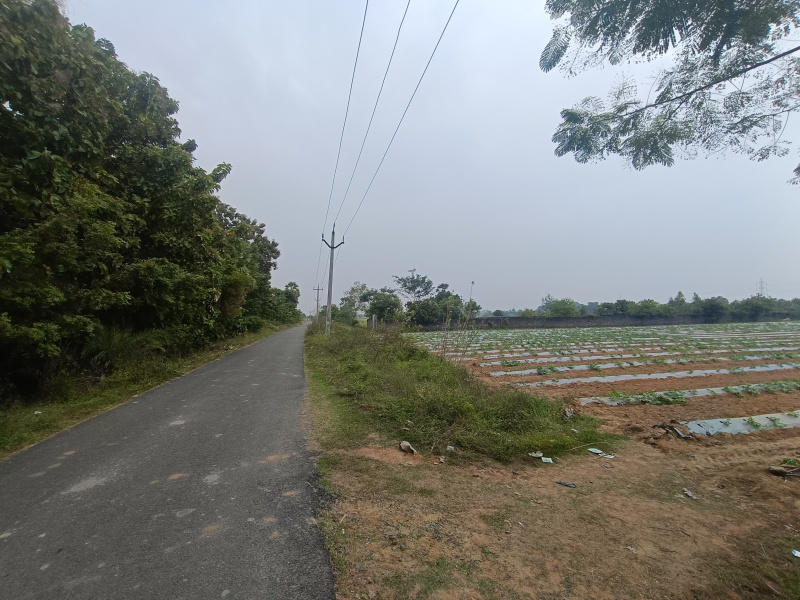  6 Acre Agricultural/Farm Land for Sale in Uthiramerur, Kanchipuram