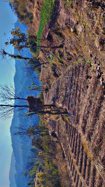  20 Bigha Residential Plot for Sale in Nahan, Sirmour