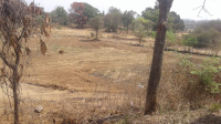  Agricultural Land for Sale in Neral, Raigad
