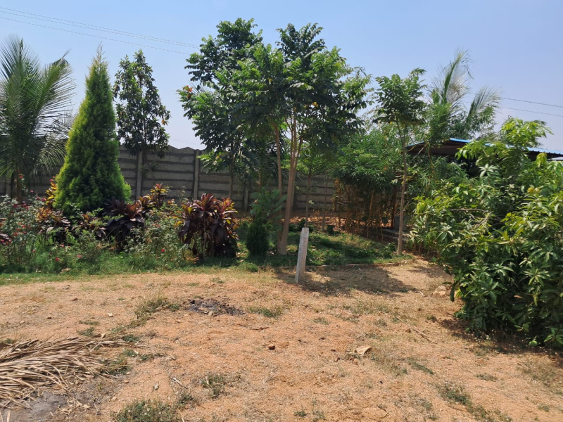  Agricultural Land 1000 Sq. Yards for Sale in Balanagar, Mahbubnagar