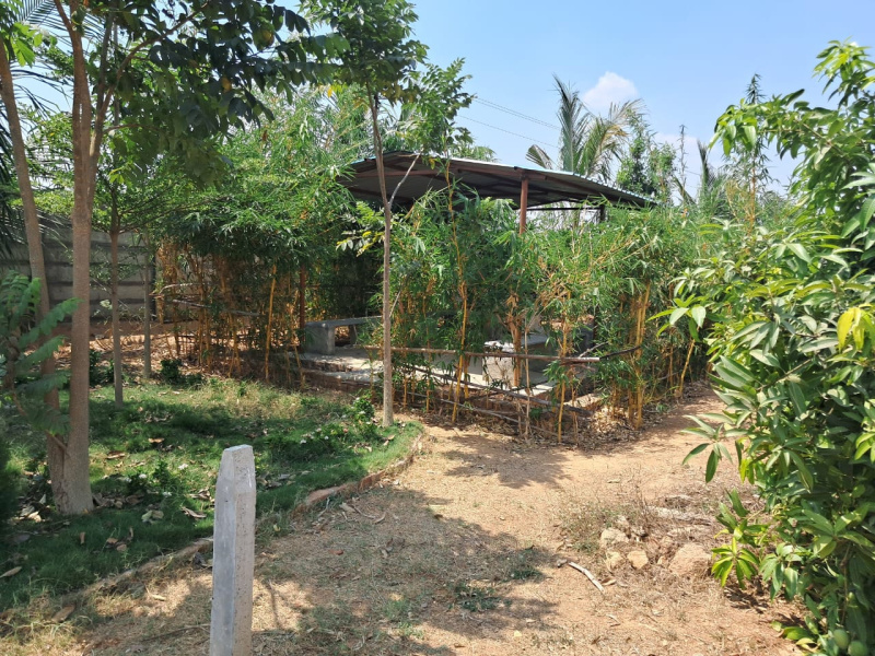  Agricultural Land 400 Sq. Yards for Sale in Balanagar, Mahbubnagar