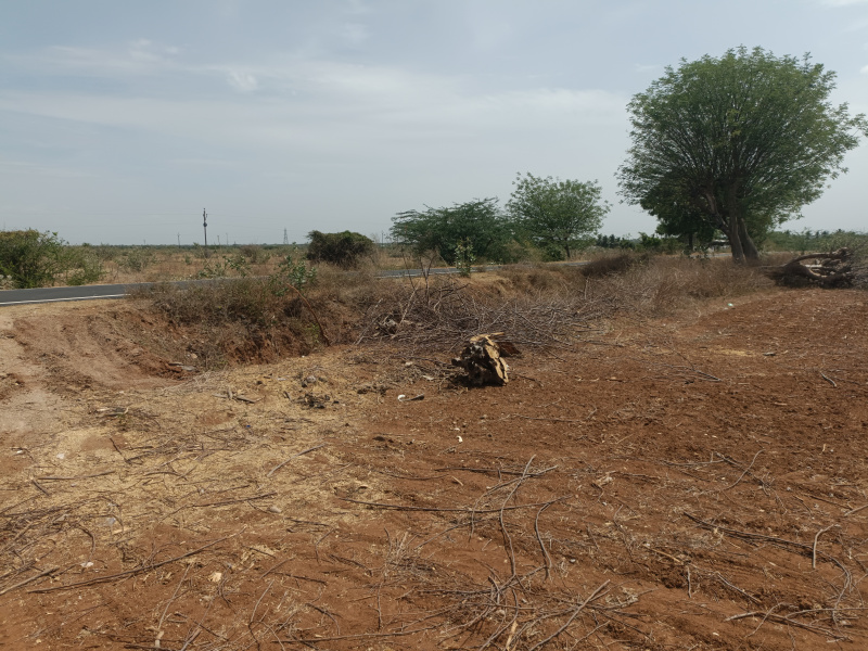  Agricultural Land 6 Acre for Sale in Manachanallur, Tiruchirappalli