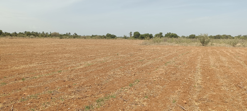  Agricultural Land 6 Acre for Sale in Manachanallur, Tiruchirappalli