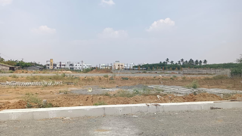  1200 Sq.ft. Residential Plot for Sale in Thirunagar, Tiruchirappalli