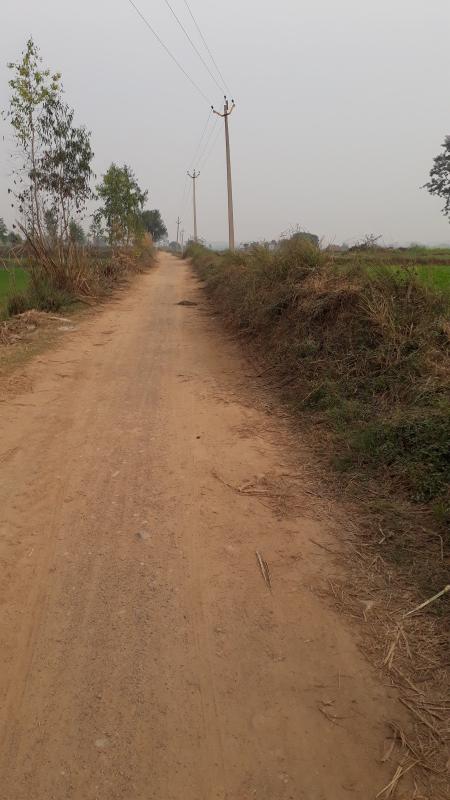  Agricultural Land 5 Ares for Sale in Naraingarh, Ambala
