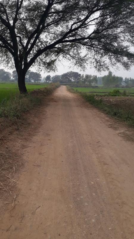  Agricultural Land 5 Ares for Sale in Naraingarh, Ambala