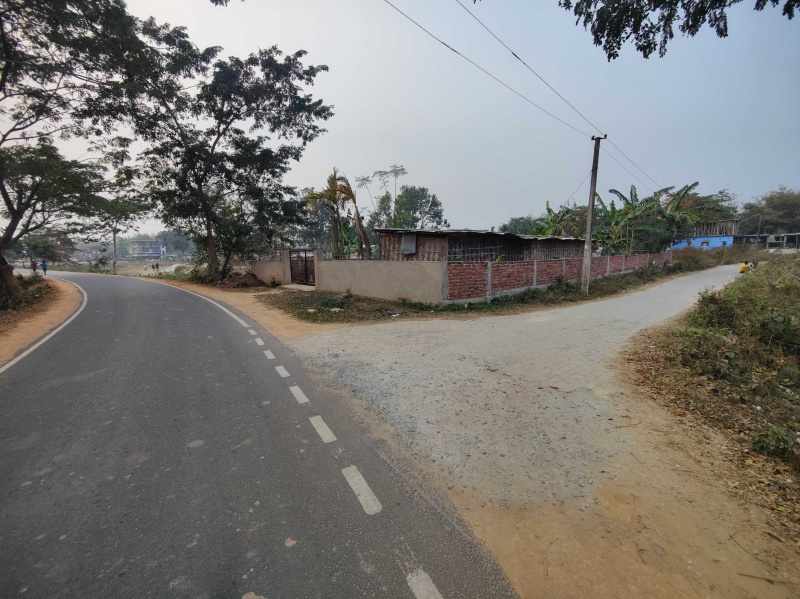  Agricultural Land 2 Bigha for Sale in Bongara Rani Road, Guwahati