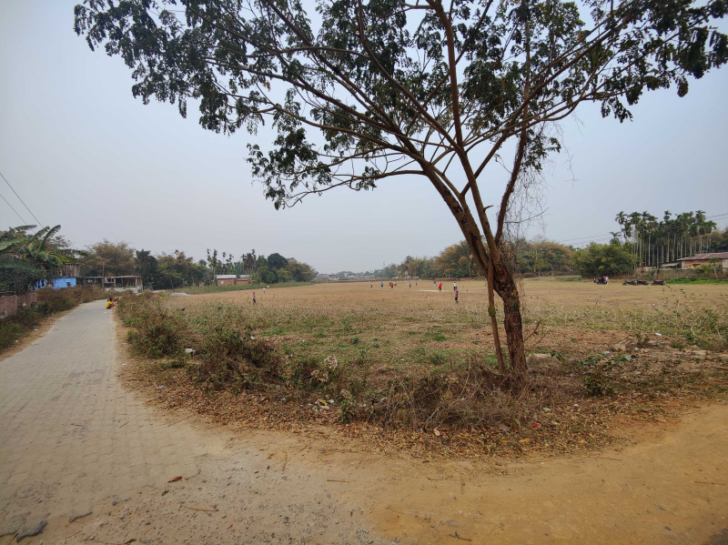  Agricultural Land 2 Bigha for Sale in Bongara Rani Road, Guwahati