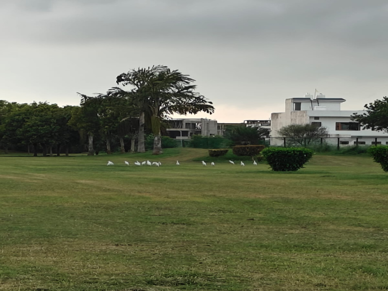  Residential Plot 1000 Sq. Yards for Sale in Greater Mohali