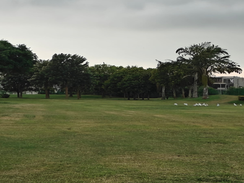  Residential Plot 500 Sq. Yards for Sale in Sector 109 Mohali