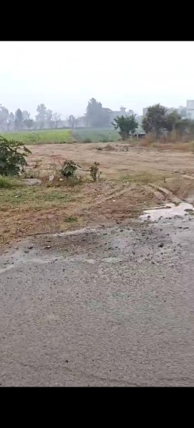  Residential Plot 100 Sq. Yards for Sale in Sector 102 A, Mohali