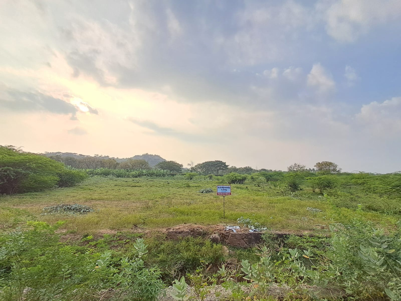  Agricultural Land 44 Cent for Sale in Ambasamudram, Tirunelveli