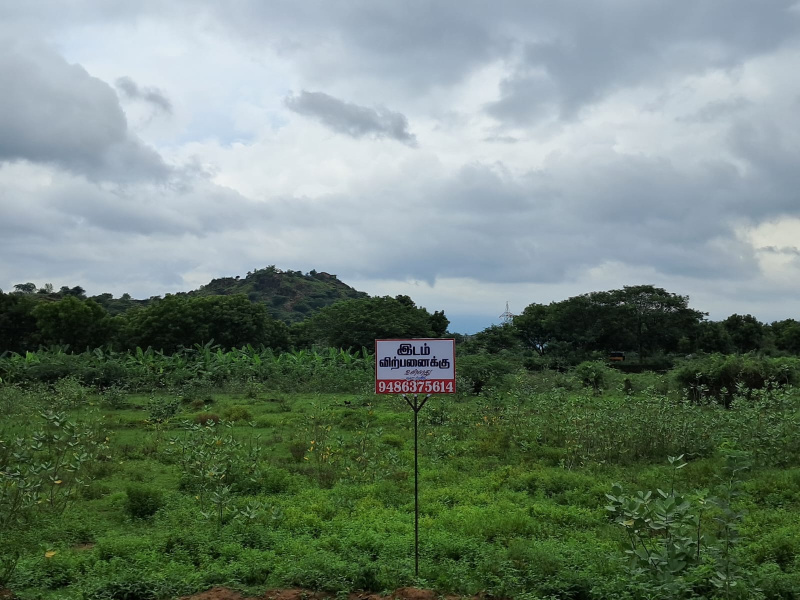  Agricultural Land 44 Cent for Sale in Ambasamudram, Tirunelveli