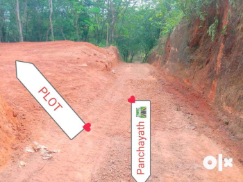  Residential Plot for Sale in Iritty, Kannur