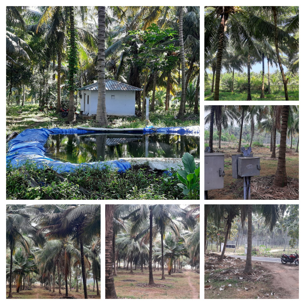 Agricultural Land 5 Acre for Sale in Vettaikaranpudur, Coimbatore