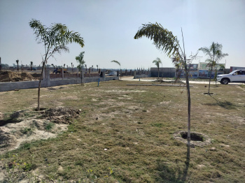 Residential Plot for Sale in Barsana, Mathura
