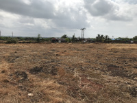  Agricultural Land for Sale in Devgad, Sindhudurg