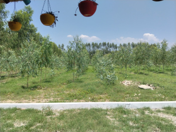  Residential Plot for Sale in Behat, Saharanpur