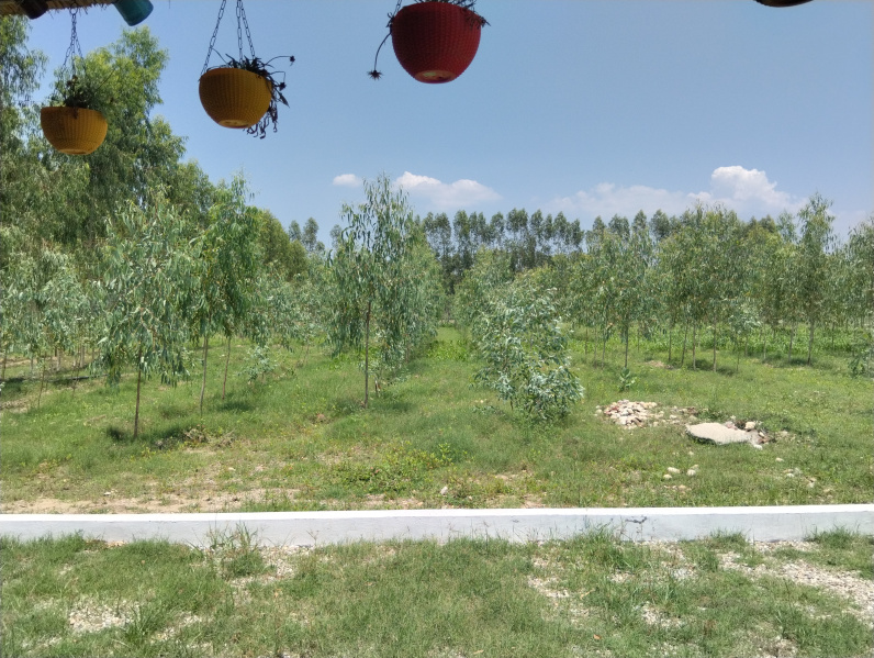 Residential Plot 100 Sq. Yards for Sale in Behat, Saharanpur